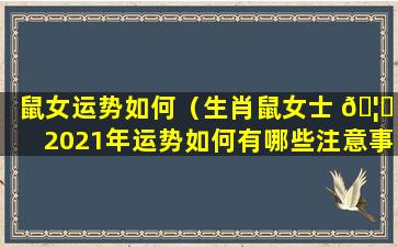 鼠女运势如何（生肖鼠女士 🦅 2021年运势如何有哪些注意事项）